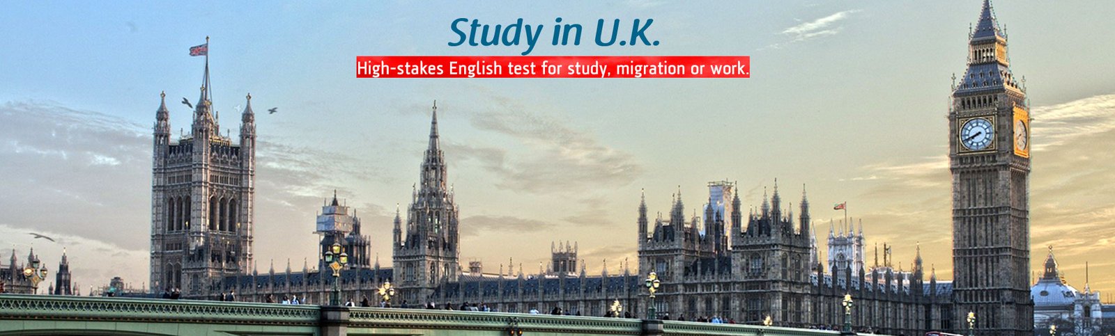 MD Immigration Services Jalandhar